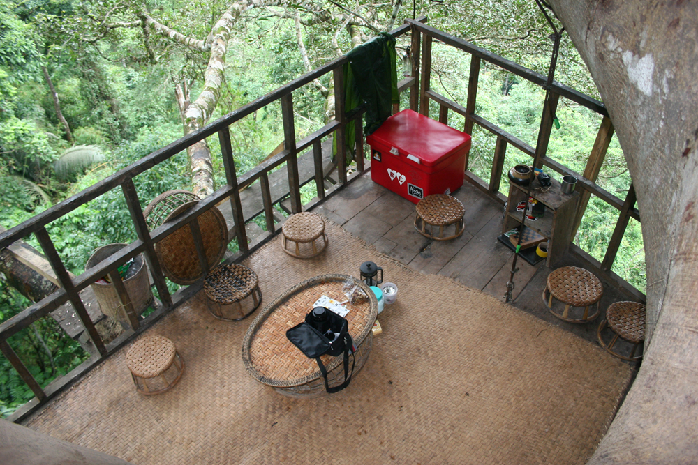 The living & dining room of the tree house. At night, large spiders on the walls and rats rustling in the ceilings will be your companions, but you're in the jungle after all.