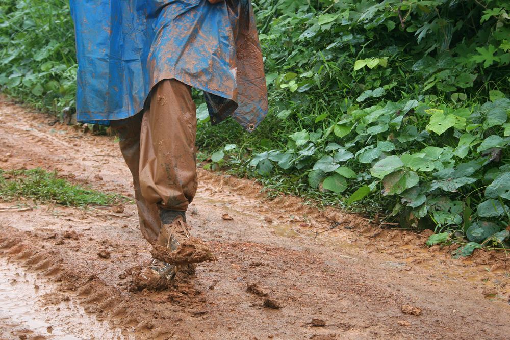 Bring comfy cloths & shoes for the hike. It's also advisable to bring a torch, water bottle and gloves, but otherwise leave most of your baggage behind. Everything you bring you must carry in and out of the jungle yourself.