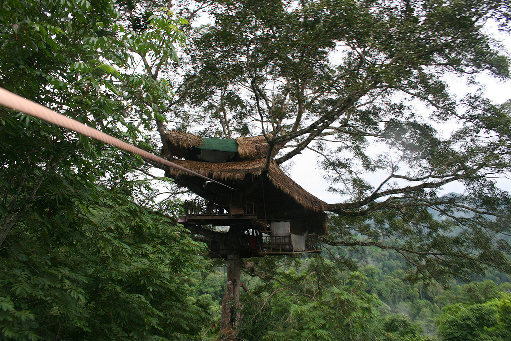 laos-tree-house-gibbon-experience Adrenalin meets conservation in this eco-friendly adventure in the Bokeo Nature Reserve wilderness. The Gibbon Experience is a series of 'ziplines' criss-crossing the canopy of some of Laos' most pristine forest, home to the black-crested gibbon. Above is the main treehouse from where all the zipping action starts.