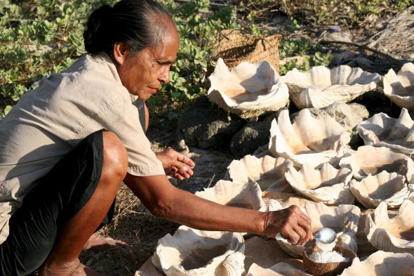 drying-salt-timor-indonesia First the salt is dried in giant clams...