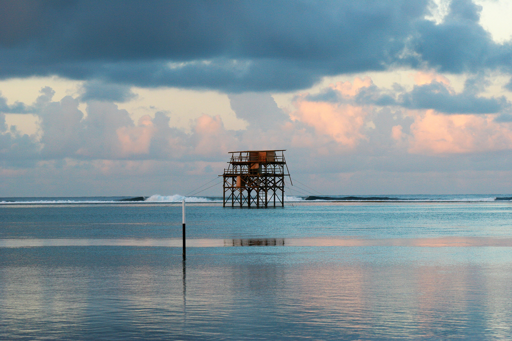 The judging tower at dawn.