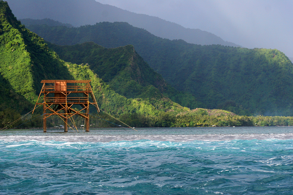 teahupoo-tahiti-judging-tower The view from the surf.