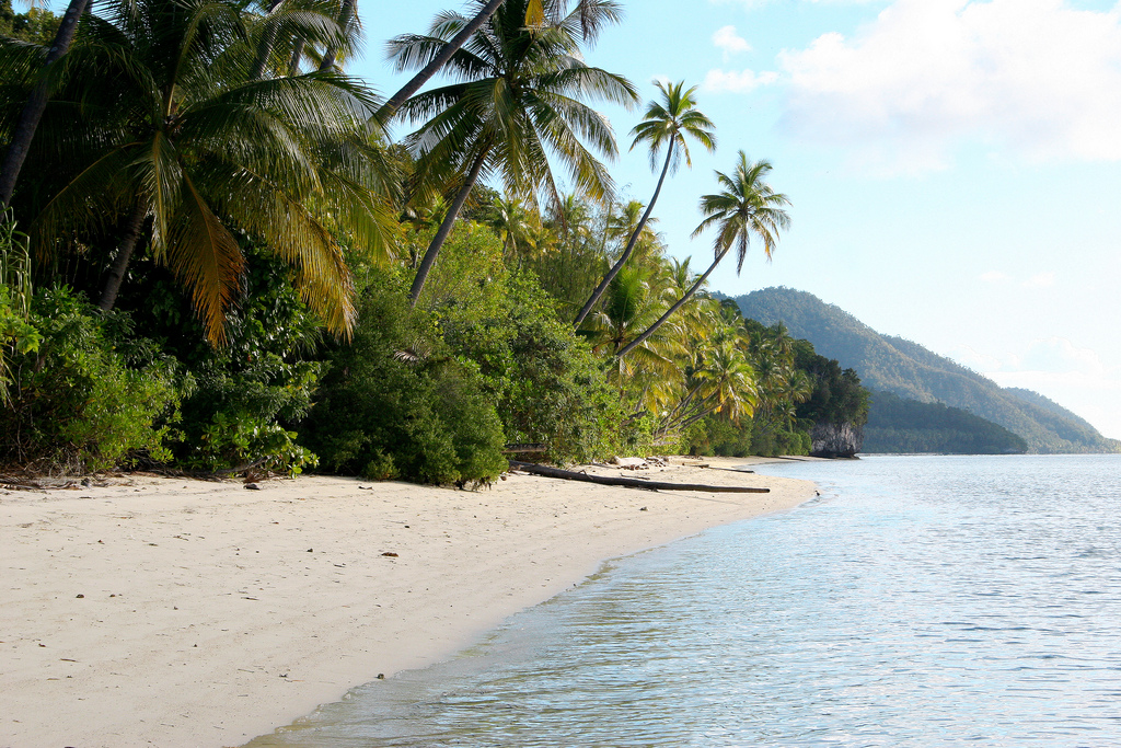 Beach paradise in Raja Ampat.