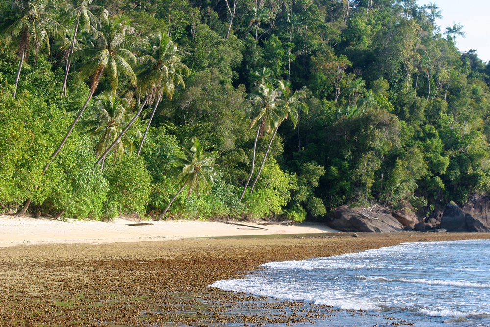beach-paradise-island-sumatra-indonesia Walking around the island is no problem...all you need it time.
