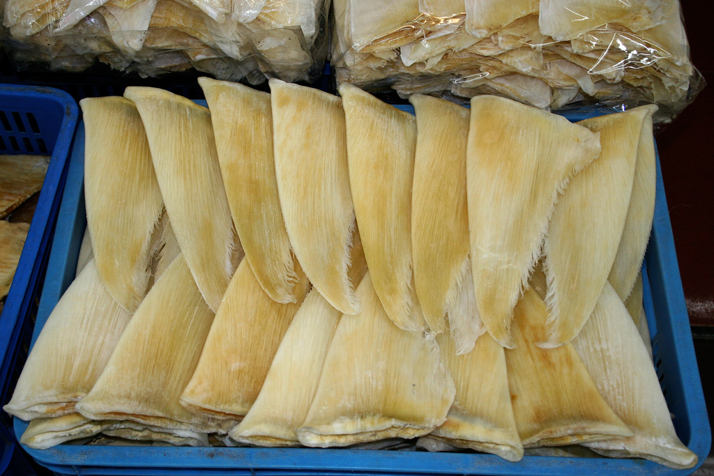 Dried shark fins at a market in Guangzhou, China. Dried shark fins at a market in Guangzhou, China.