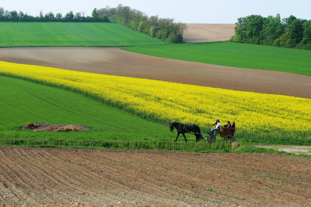 This is just 20 minutes outside of Western Vienna. Rolling hills and fertile soil halted by large forests make the area a perfect getaway for a weekend not far from the bustling city.