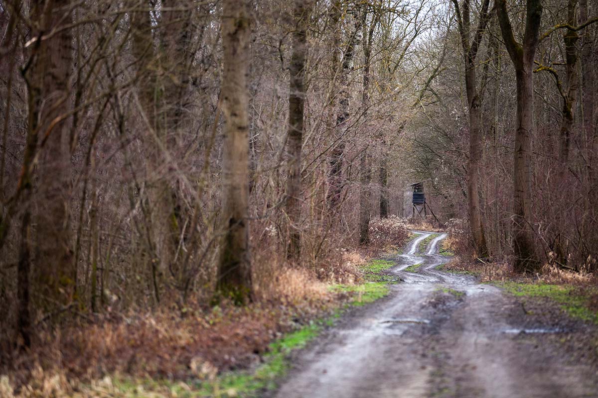 The landscape around the Danube river northwest of Vienna (the area near Tulln) consists of forest and meadow land.