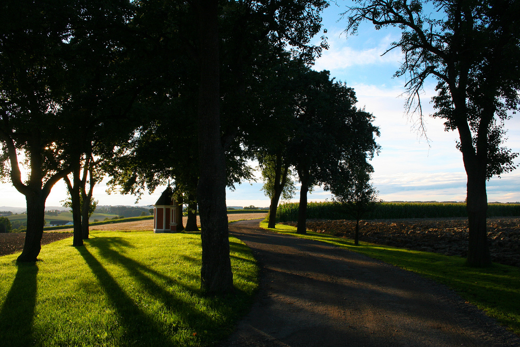 This place is in the heart of Upper Austria - the "breadbasket of Austria". Some farmers rent out holiday apartments, so if you are ready for a quiet peaceful stopover for a few days, this is the area to go to. Taken near Wels.