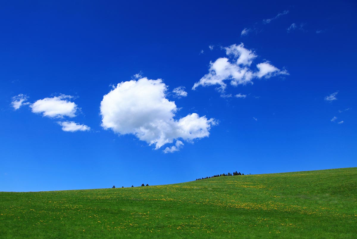 The Vienna basin and the Austrian sections of the Carpathian plains in the East are areas that feature green hills and plains, fields, wine regions, idyllic rivers and lakes as well as wide open steppe.