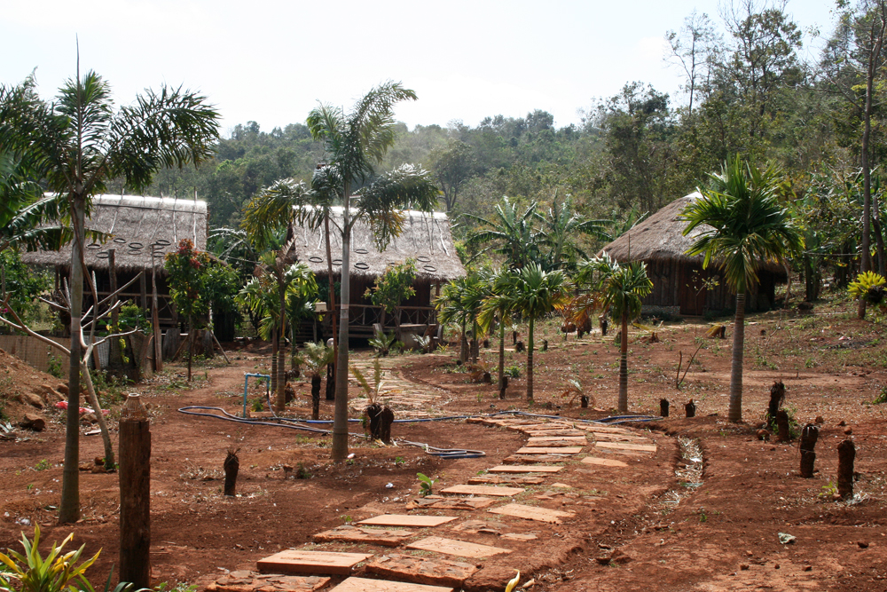 The Nature Lodge is submerged in the natural landscape, surrounded by the fine views and misty hills of the Mondulkiri highlands. The Lodge offers a truly unique accommodation experience and a chance to get a close feel of this beautiful area.