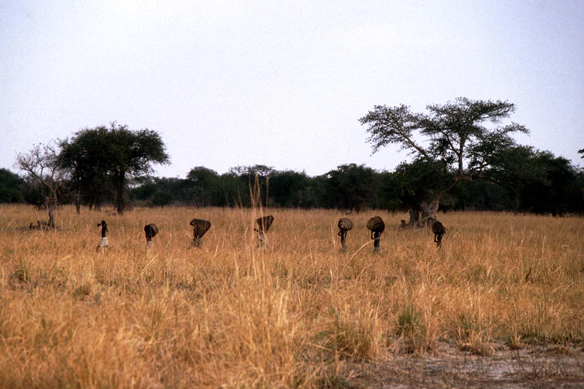 Travelling through the Serengeti in Africa.