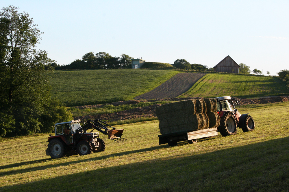 The farmers around Vienna are preparing the fields for winter.