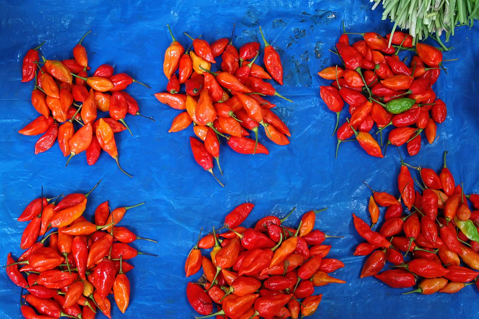 The market was a real colorful experience.