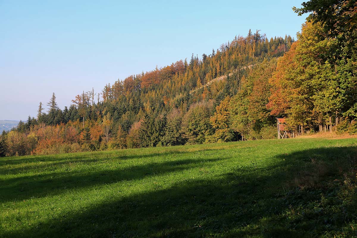 falkensteiner-huette-autumn-vienna-austria On your way to the Falkeinsteiner Hütte you'll also pass a wonderful clearing.