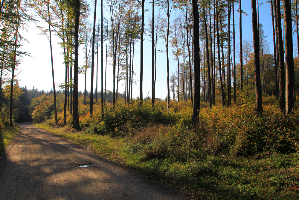 The drive up to the Falkensteinerhütte.