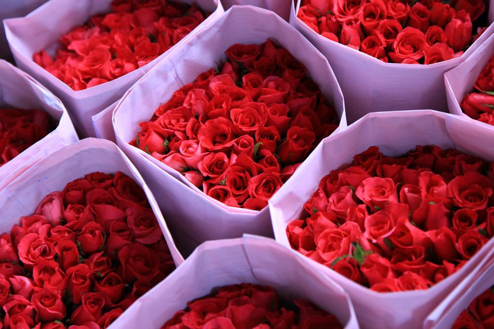 You'll definitely find the right flower for your loved one at Pak Klong Talat flower market.