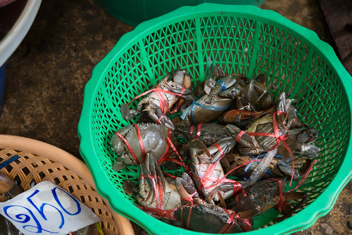 Fresh crabs are a speciality at Khlong Toey fresh market.