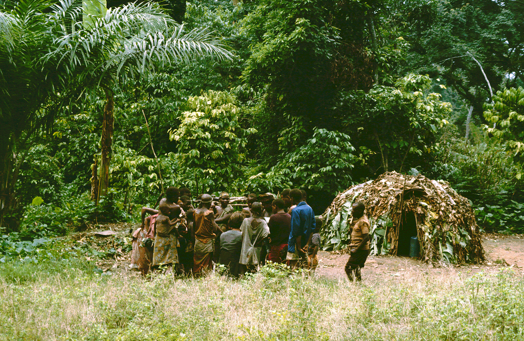 Pygmees in the Ituri Forest in the Congo.