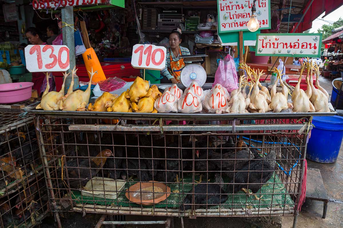 Klong Toey is a very 'fresh' market, offering low prices on raw meat, seafood, farm produce, and other items.