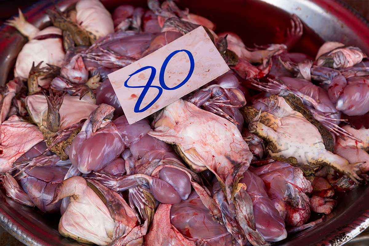 Dead frogs are just one of the many gruesome things you will come across at Khlong Toey fresh market.