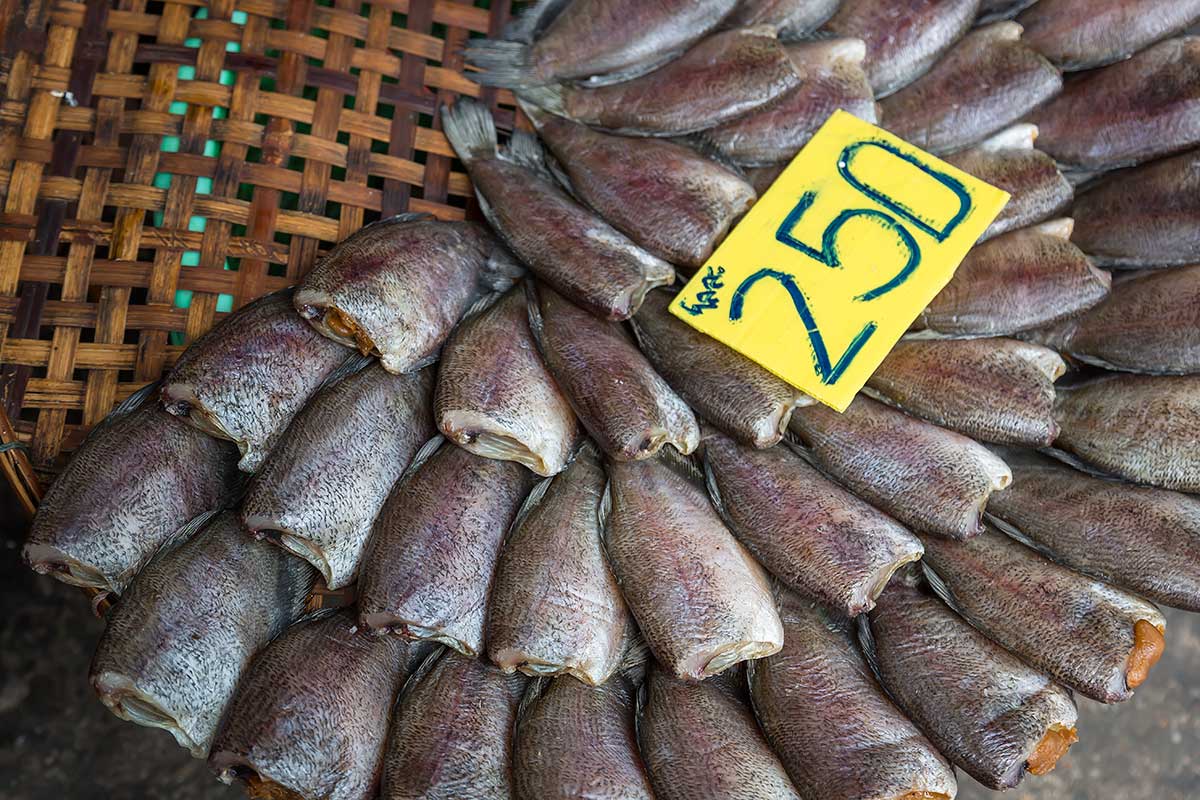 Dried fish can be found all around Mahachai market. Drying food is the world's oldest known preservation method, and dried fish has a storage life of several years. The method is cheap and effective in suitable climates.