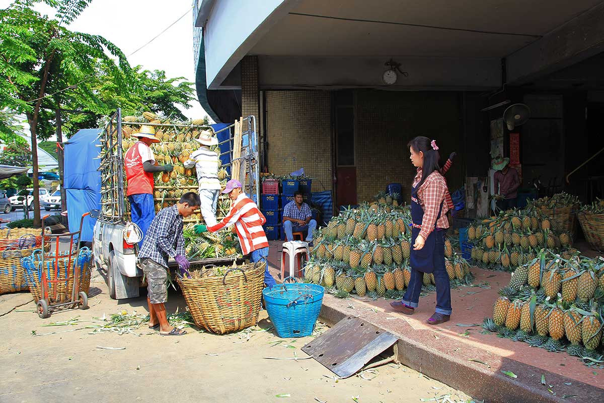 We've never seen so many pineapples on one single spot. The Saphan Khao fruit market is a real delight, also thanks to the lovely smell of fresh fruits. We've never seen so many pineapples on one single spot. The Saphan Khao fruit market is a real delight, also thanks to the lovely smell of fresh fruits.