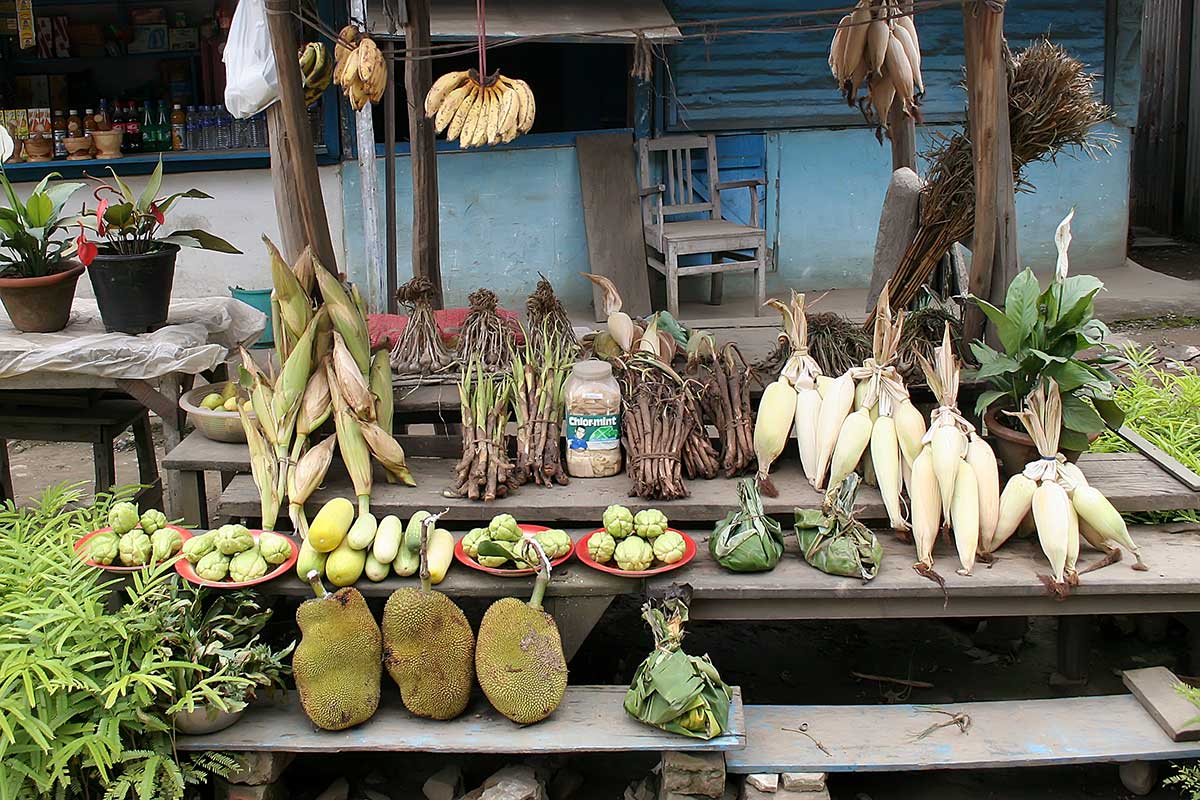 street-vendor-vegetables-market-dimapur-nagaland-india