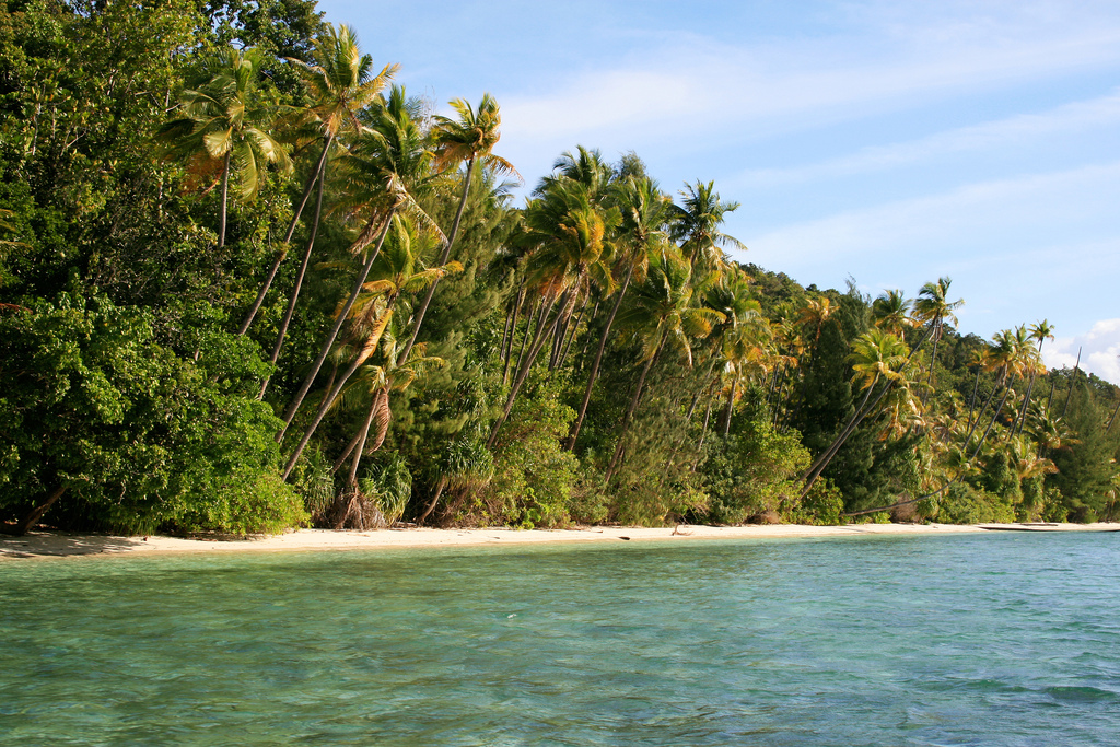 raja-ampat-west-papua-island-beach-paradise
