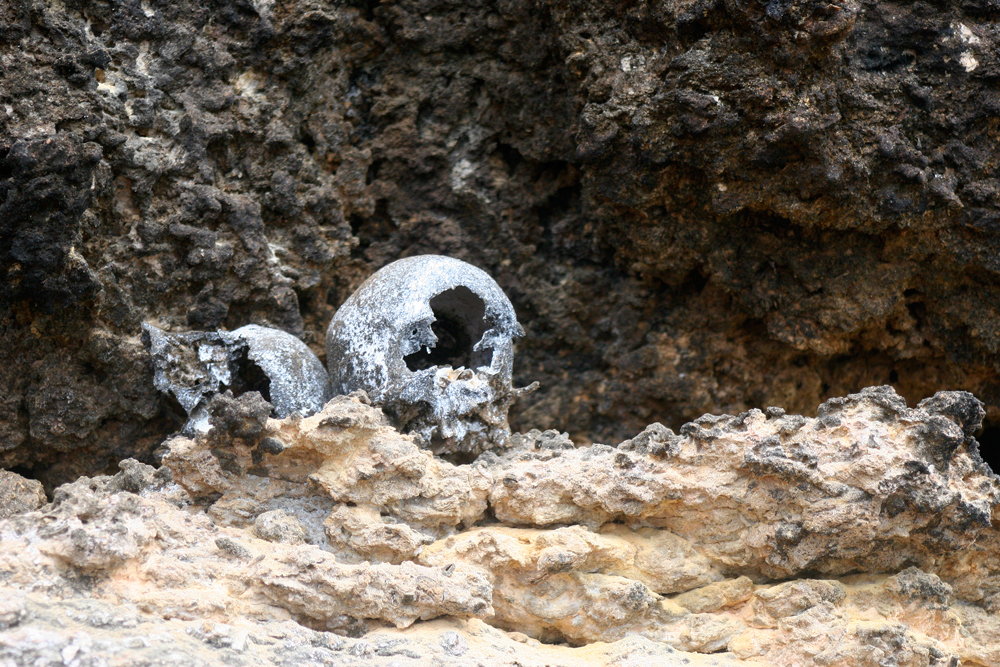 Human skulls in Raja Ampat.