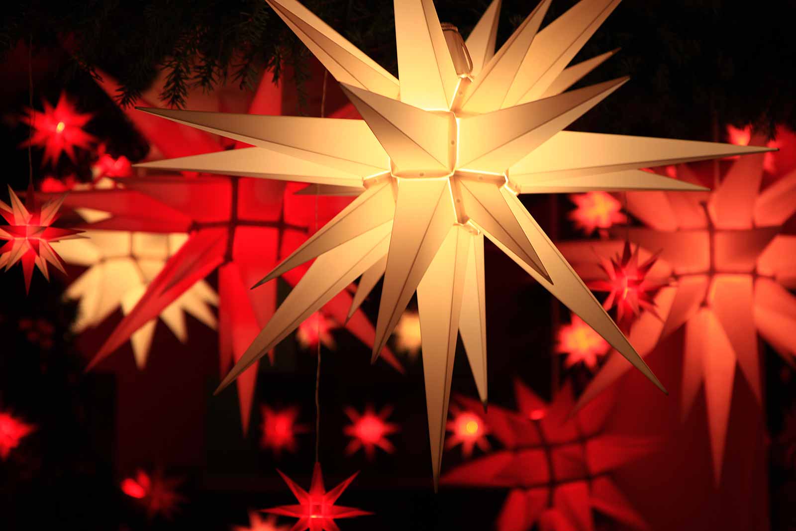 christmas-stars-vienna-austria Christmas stars.