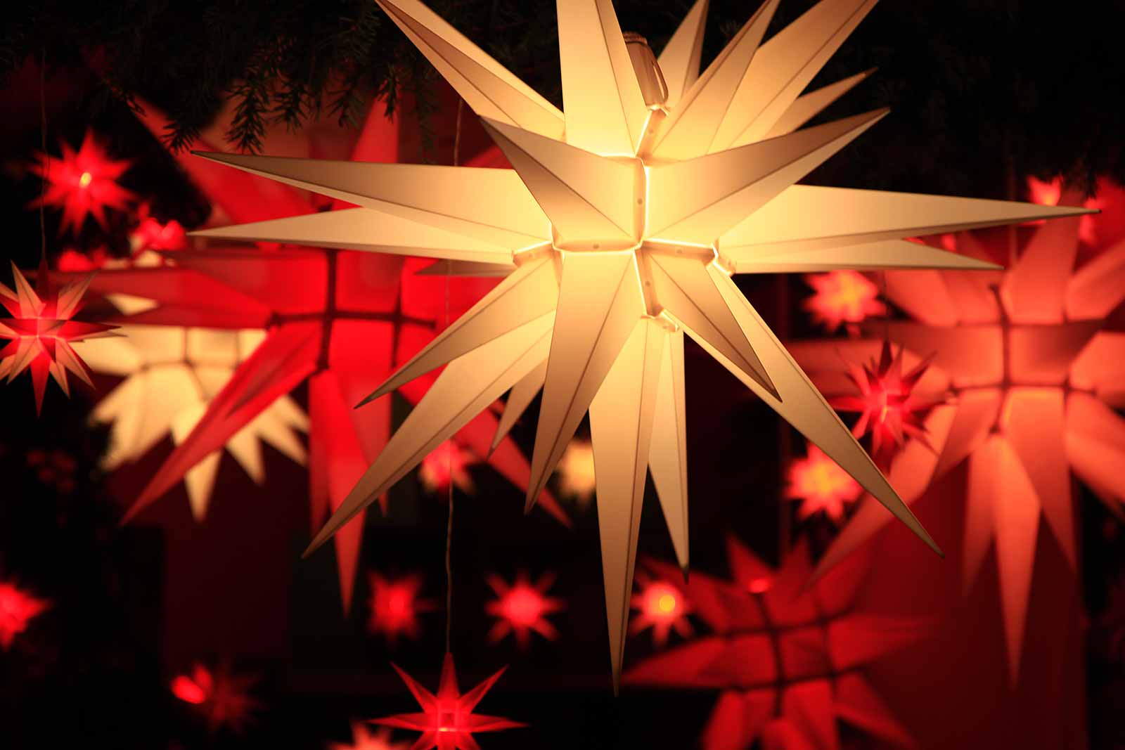 Christmas stars.