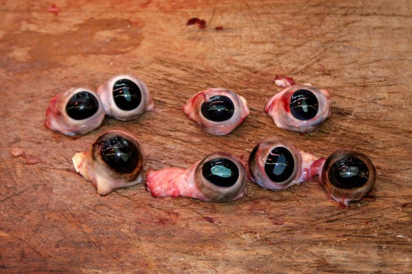 cows-eyes-market-hong-kong Cow's eyes at a market in Hong Kong.