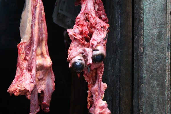 darjeeling-india-market-cows-eyes The rest of a dead cow in Darjeeling, India.