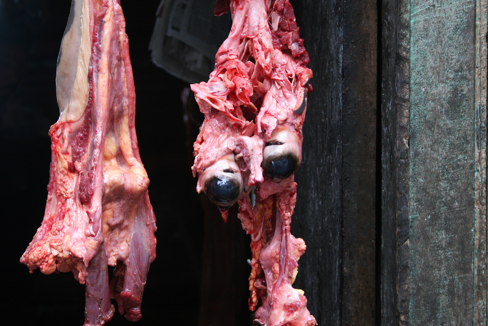 The rest of a dead cow in Darjeeling, India.