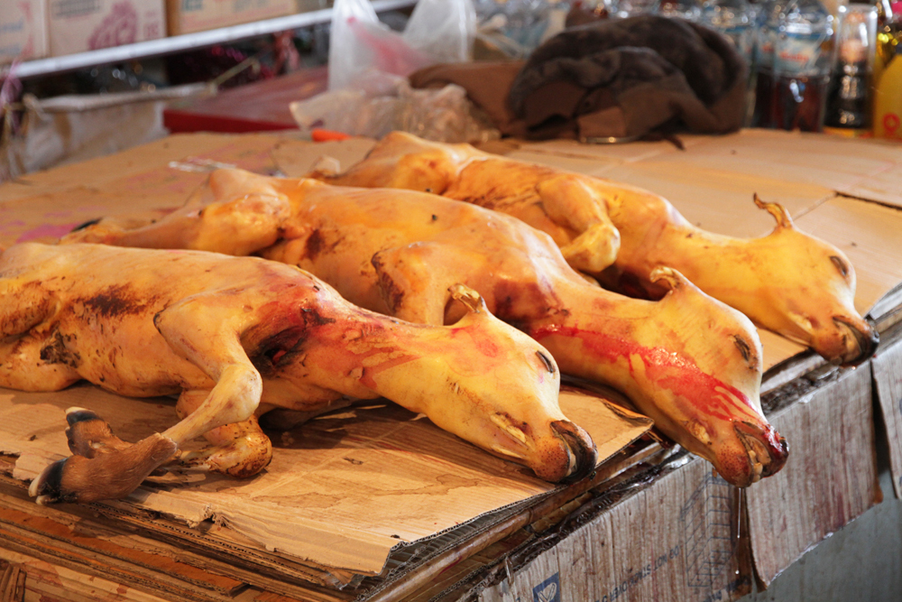 Dead cows at a market in Kuala Lumpur, Malaysia.