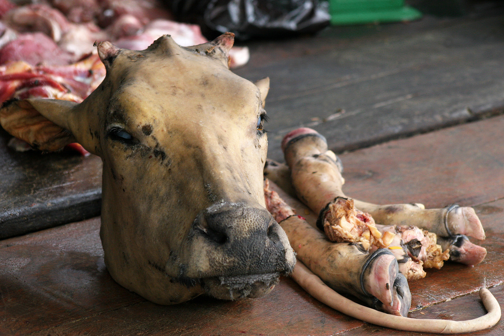 A cow's head at the Central market in Phnom Penh, Cambodia.