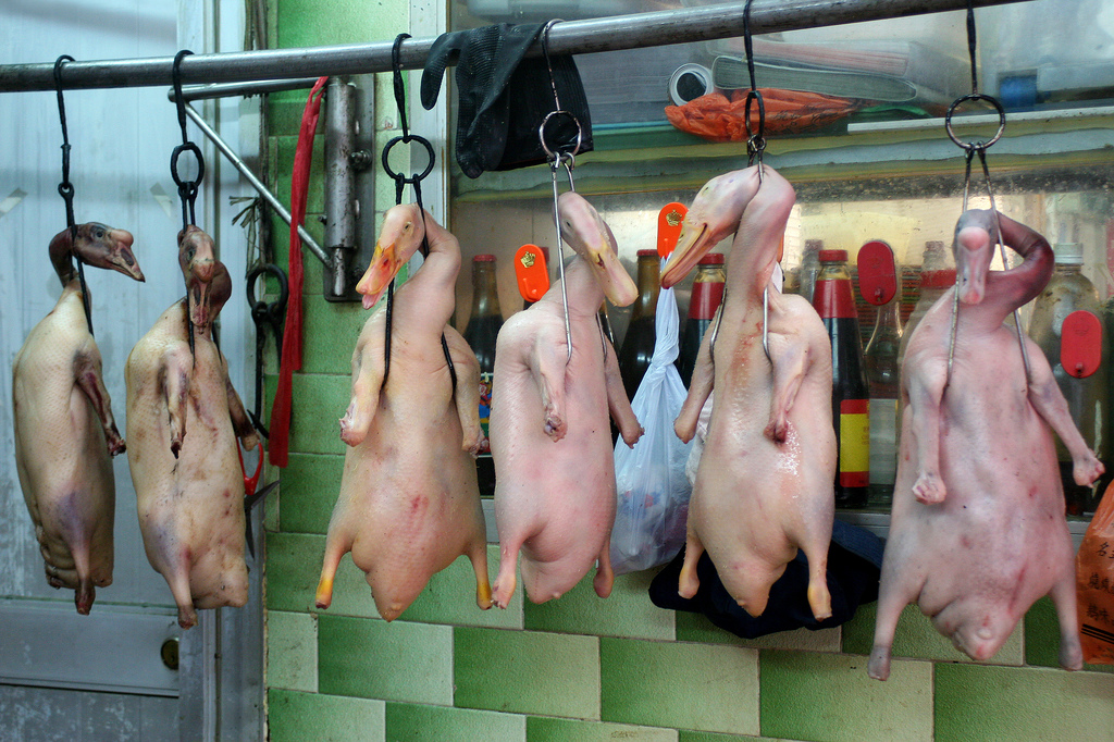 Dead ducks at a market in Guangzhou, China.