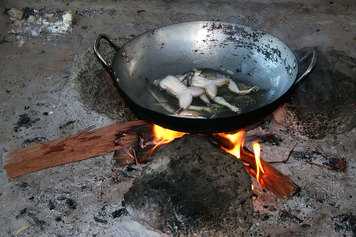 dead-frogs-fried-cambodia-1