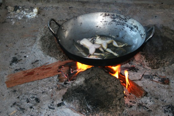 dead-frogs-fried-cambodia Preparing dinner in Cambodia.