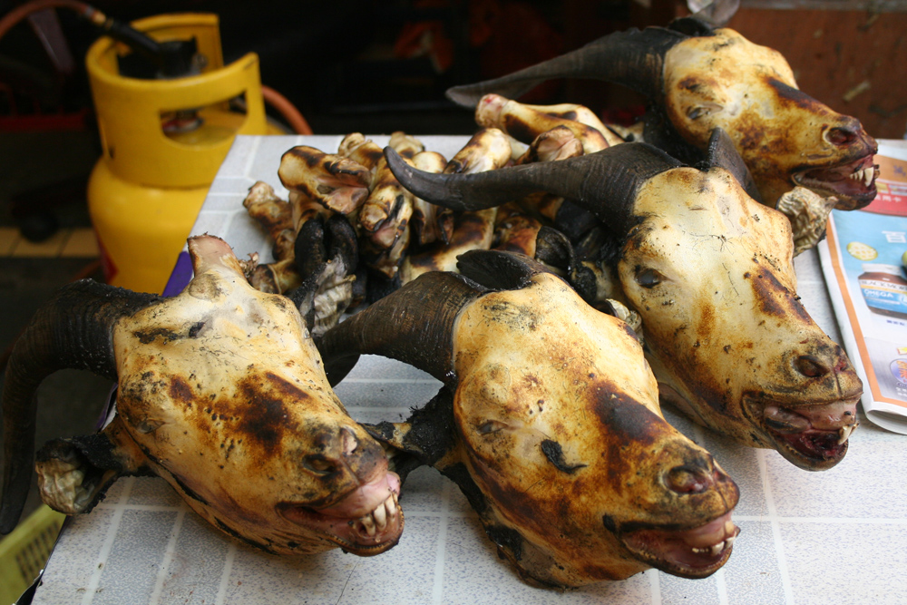 Burned goat heads in India.