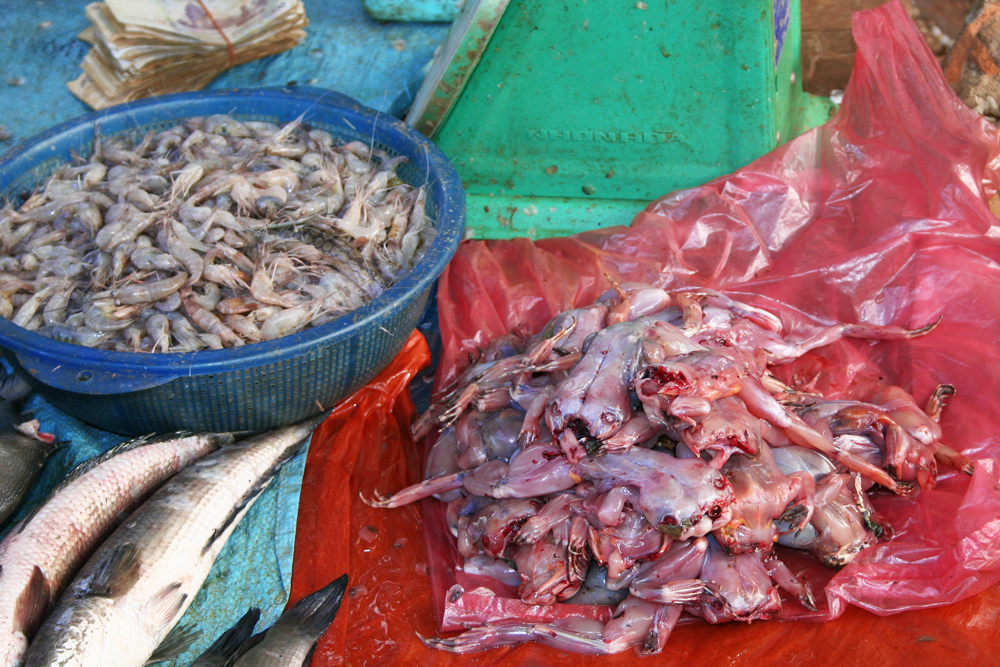 Skinned frogs in Cambodia.