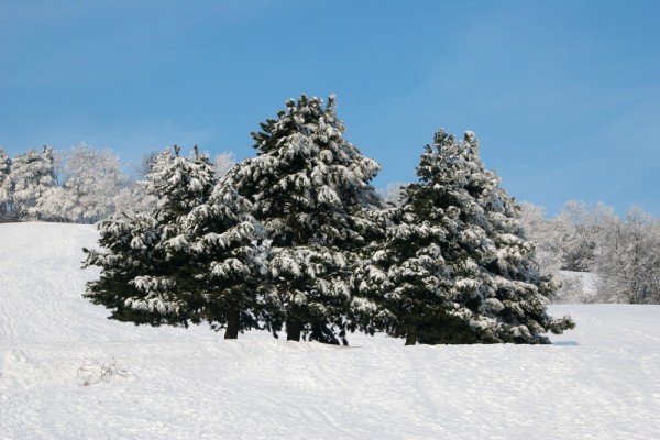 snow-landscape-austria And of course I also love the landscape in winter (only if there is snow).
