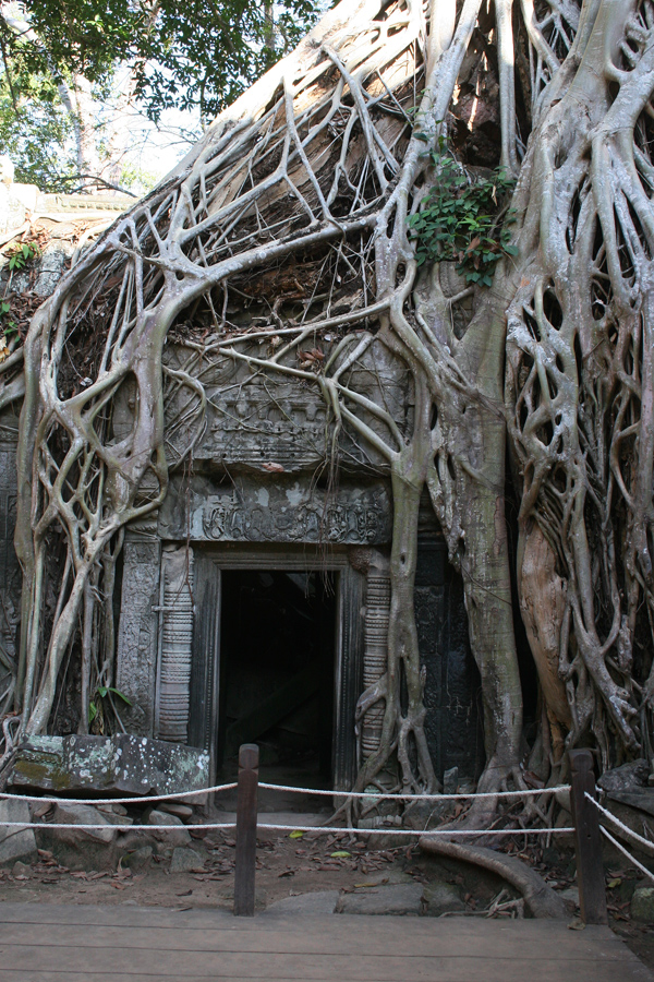 ta-prohm-temple-angkor-wat-cambodia Ta Prohm temple in 2010.