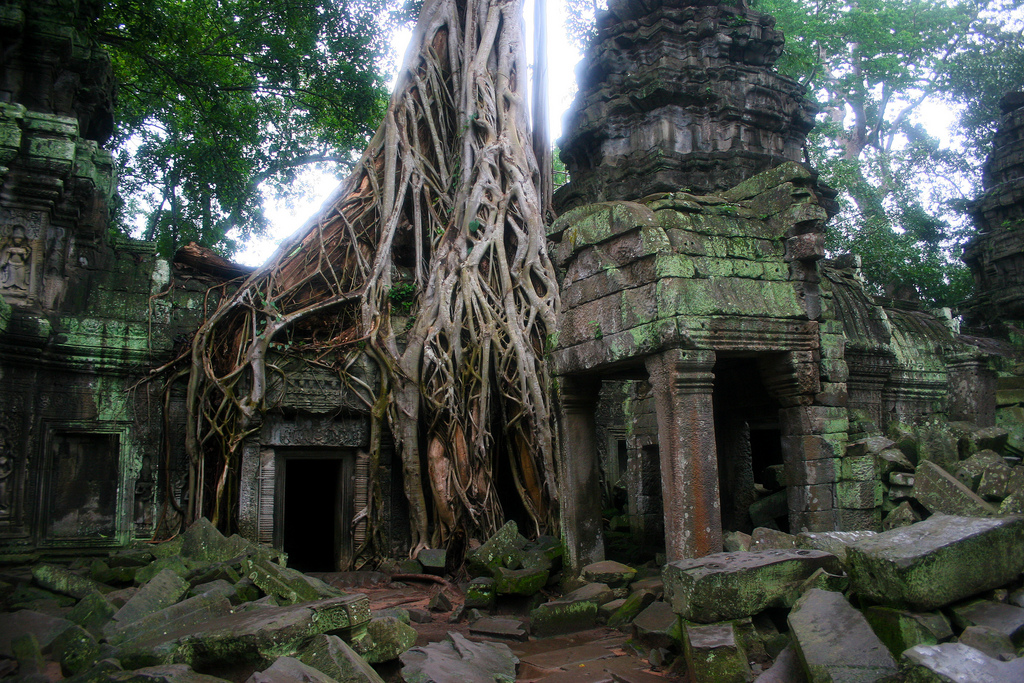 The world famous Ta Prohm temple.