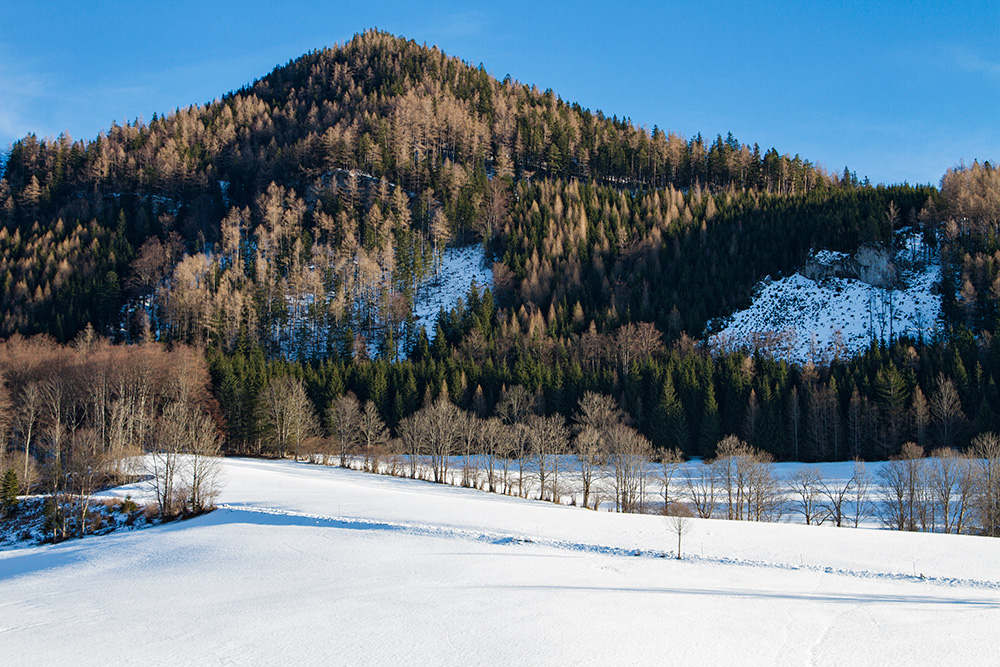 Winter landscape in the Alps in Lower Austria.
