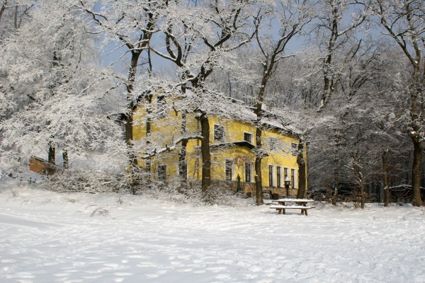 winter-landscape-austria-2 I love the atmosphere that comes with snow.