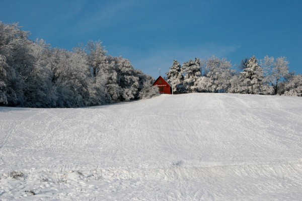 winter-wonderland-austria A true winter wonderland.