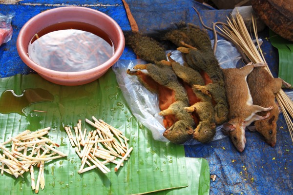 bush-meat-market-laos-asia Bush meat in Laos.