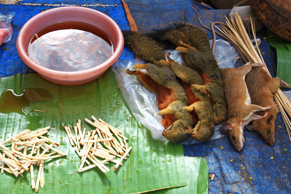 bush-meat-market-laos-asia
