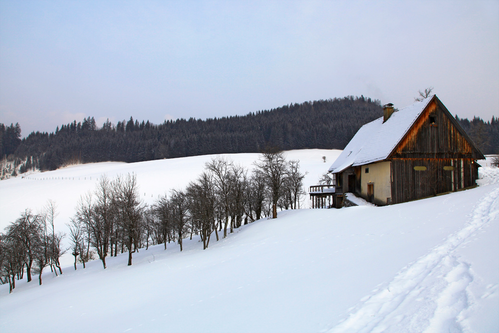 goestling-hochkar-winter-landscape Our "little" cottage in Göstling.